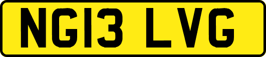 NG13LVG