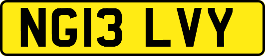 NG13LVY