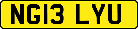 NG13LYU