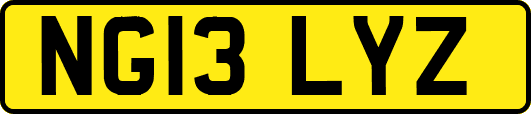 NG13LYZ