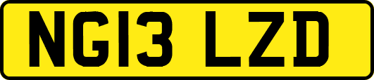 NG13LZD