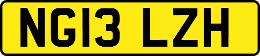 NG13LZH