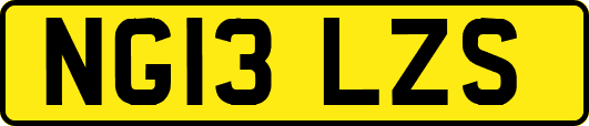 NG13LZS