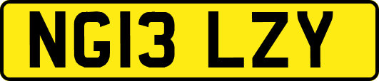NG13LZY
