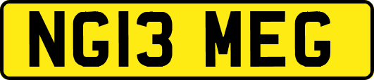 NG13MEG