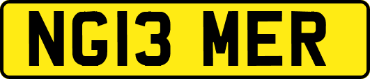 NG13MER