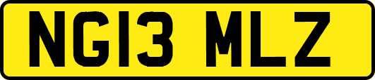 NG13MLZ