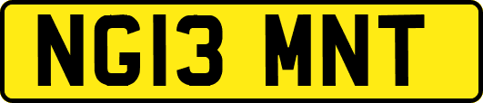 NG13MNT
