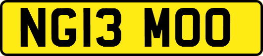 NG13MOO