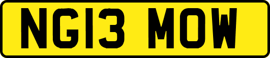 NG13MOW