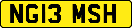 NG13MSH