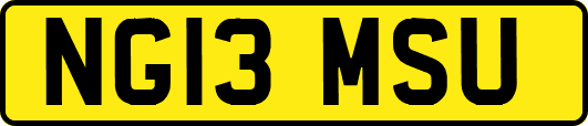 NG13MSU