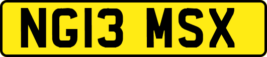 NG13MSX