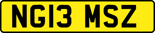 NG13MSZ