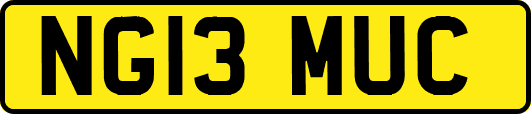 NG13MUC
