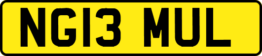 NG13MUL