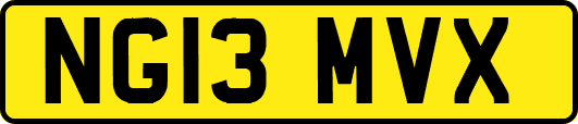 NG13MVX
