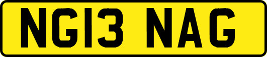 NG13NAG