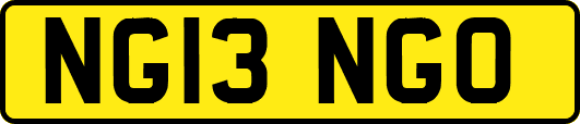 NG13NGO