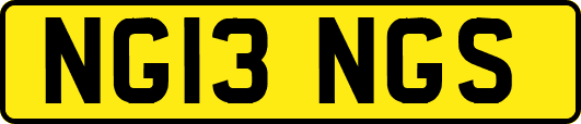 NG13NGS
