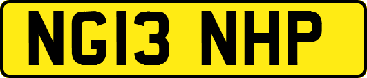 NG13NHP