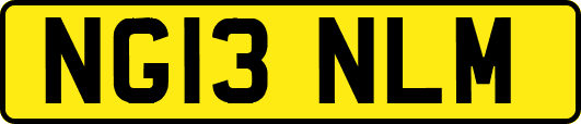 NG13NLM