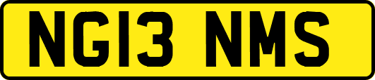 NG13NMS