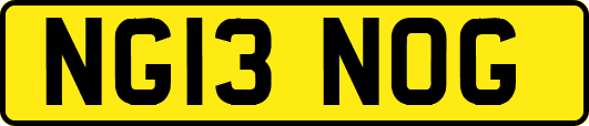 NG13NOG