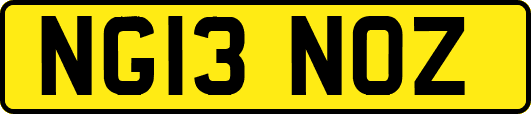NG13NOZ