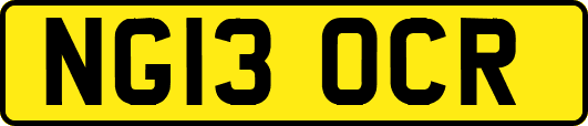 NG13OCR