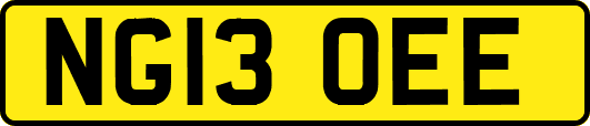 NG13OEE