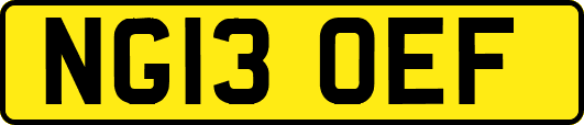 NG13OEF