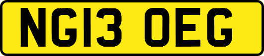 NG13OEG