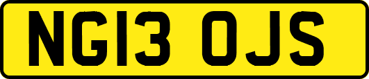 NG13OJS