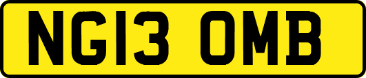 NG13OMB