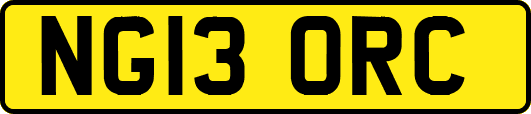 NG13ORC