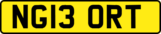 NG13ORT