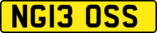 NG13OSS