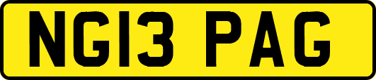 NG13PAG