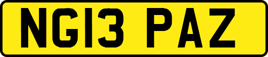 NG13PAZ