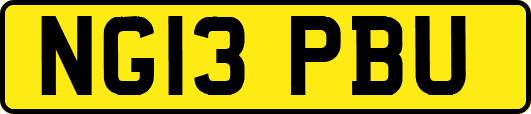 NG13PBU