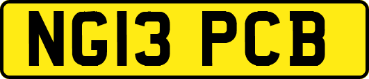 NG13PCB
