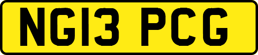NG13PCG