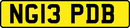 NG13PDB