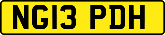 NG13PDH