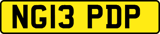 NG13PDP