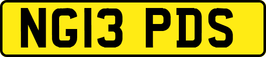NG13PDS