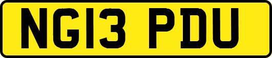 NG13PDU