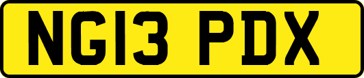 NG13PDX
