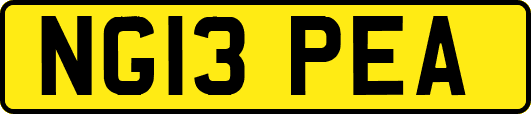 NG13PEA